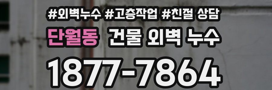 단월동 건물 외벽 누수