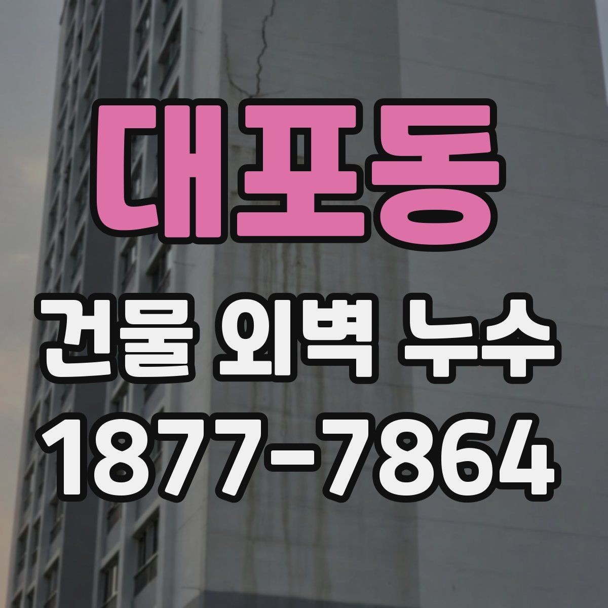 대포동 건물 외벽 누수 진단 장비와 활용 방법
