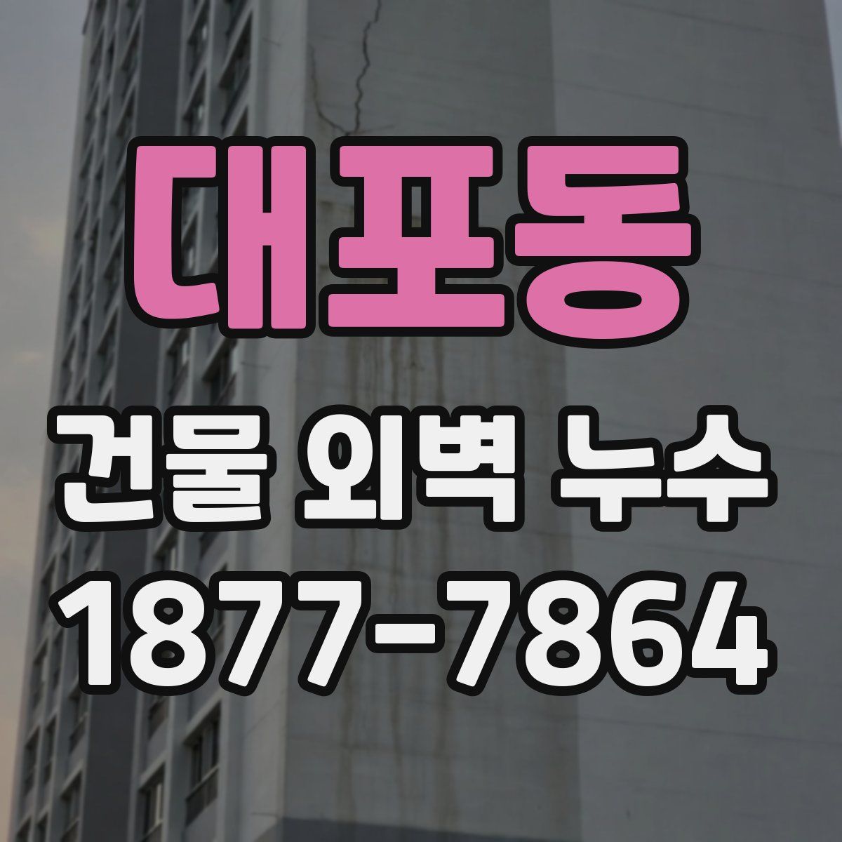 대포동 건물 외벽 누수