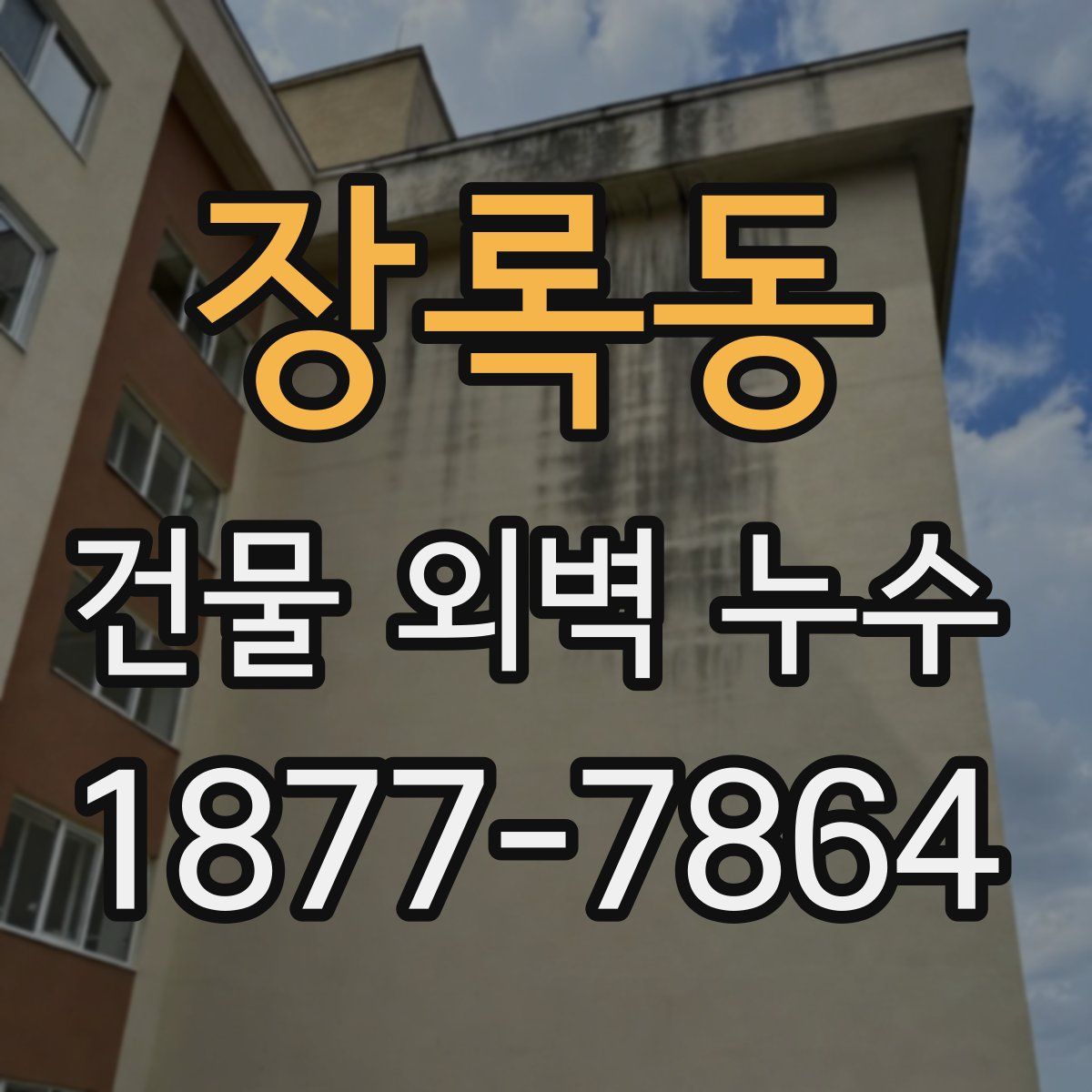 장록동 건물 외벽 누수