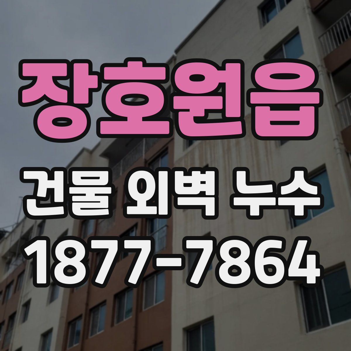 장호원읍 건물 외벽 누수