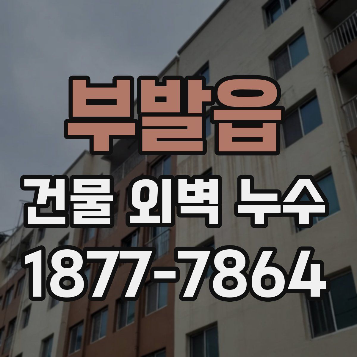 부발읍 건물 외벽 누수
