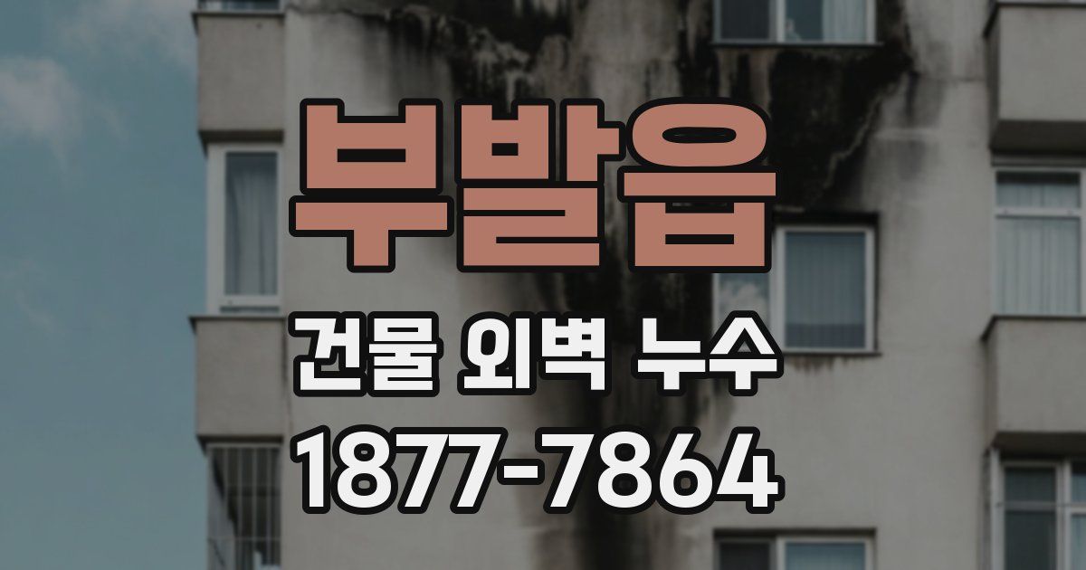 부발읍 건물 외벽 누수