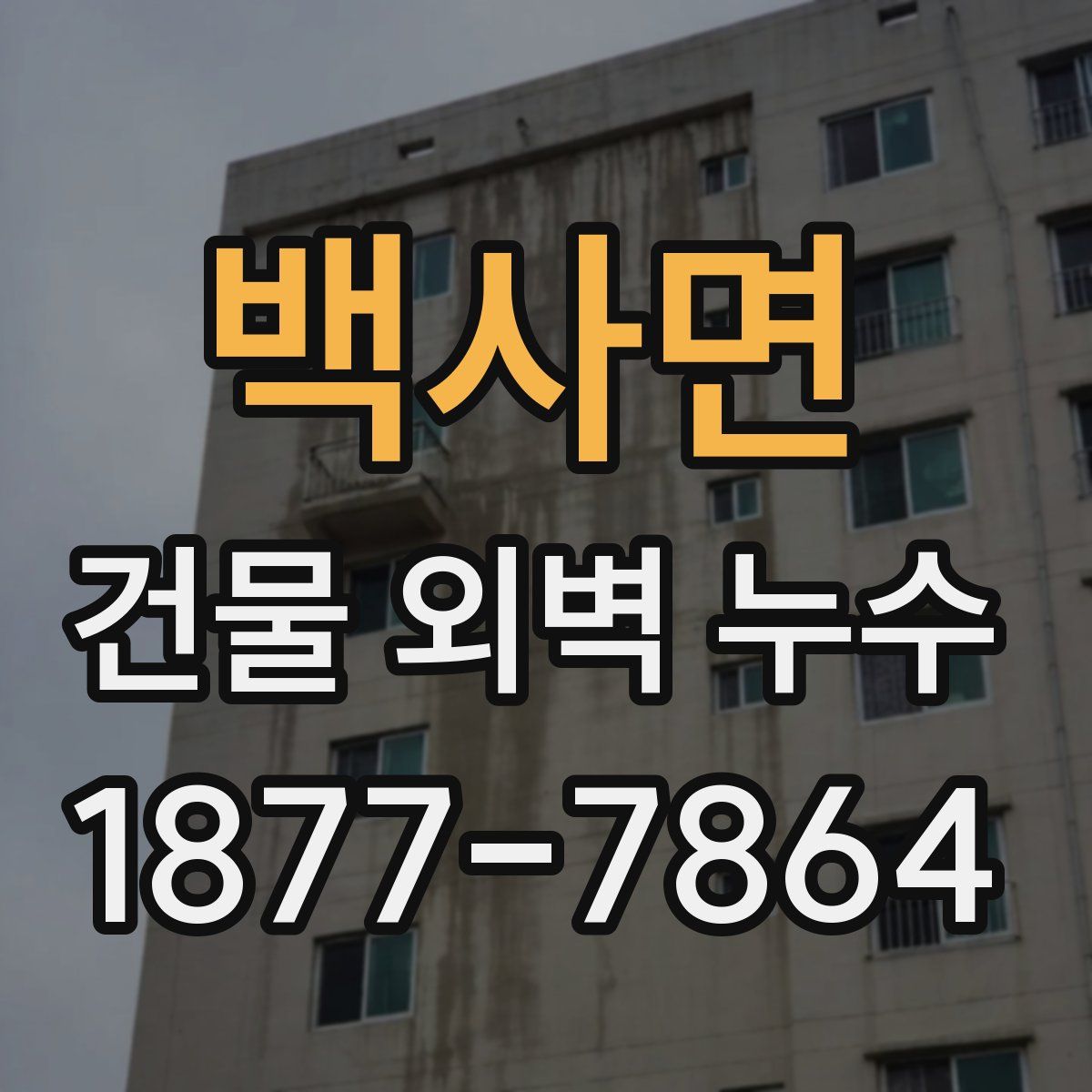 백사면 건물 외벽 누수