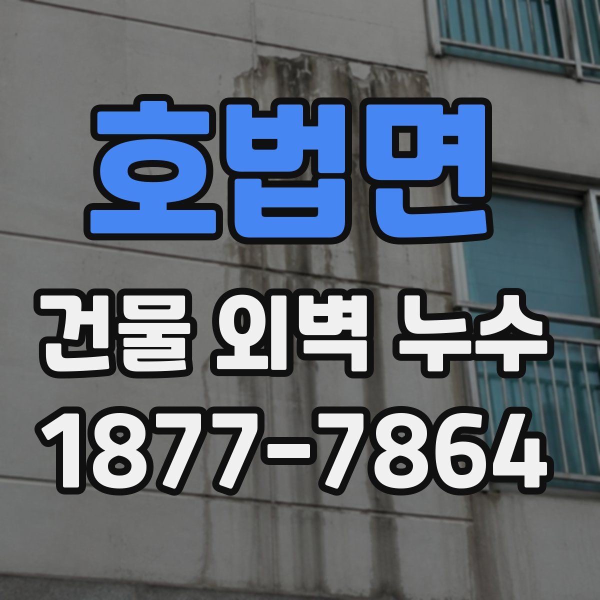 호법면 건물 외벽 누수