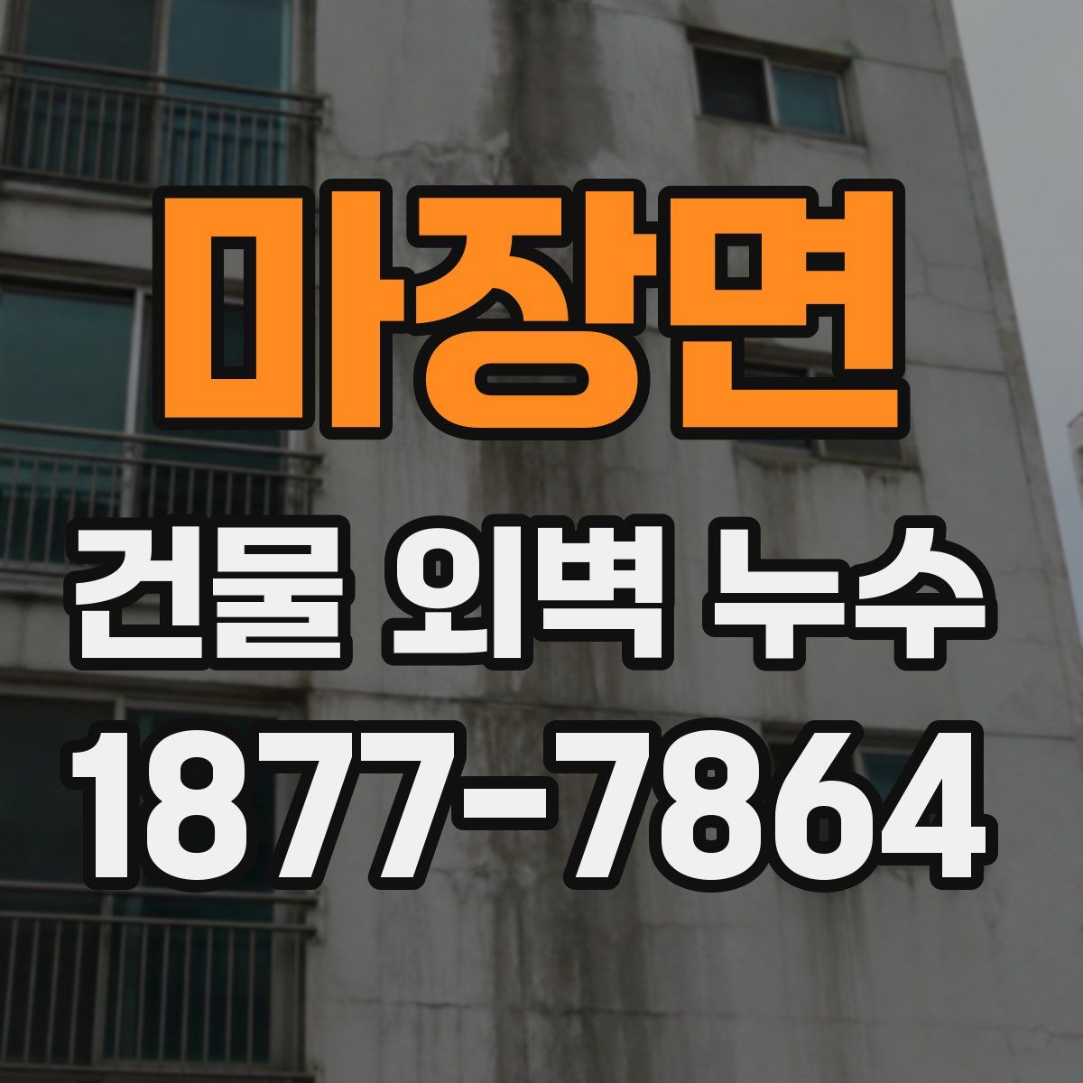 마장면 건물 외벽 누수