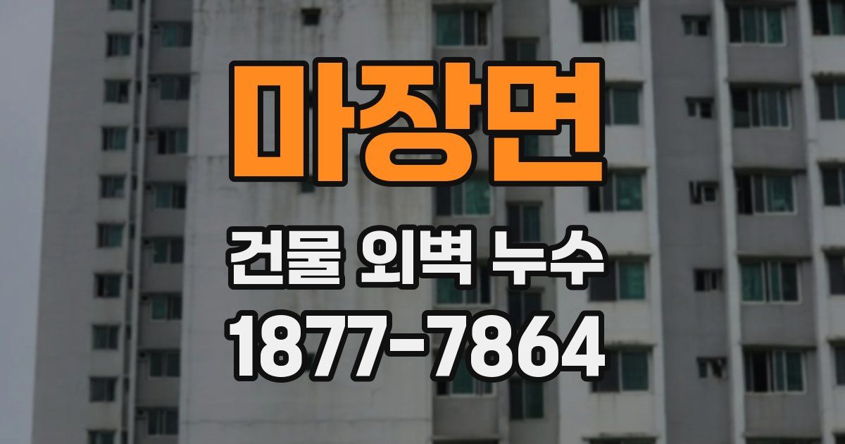 마장면 건물 외벽 누수