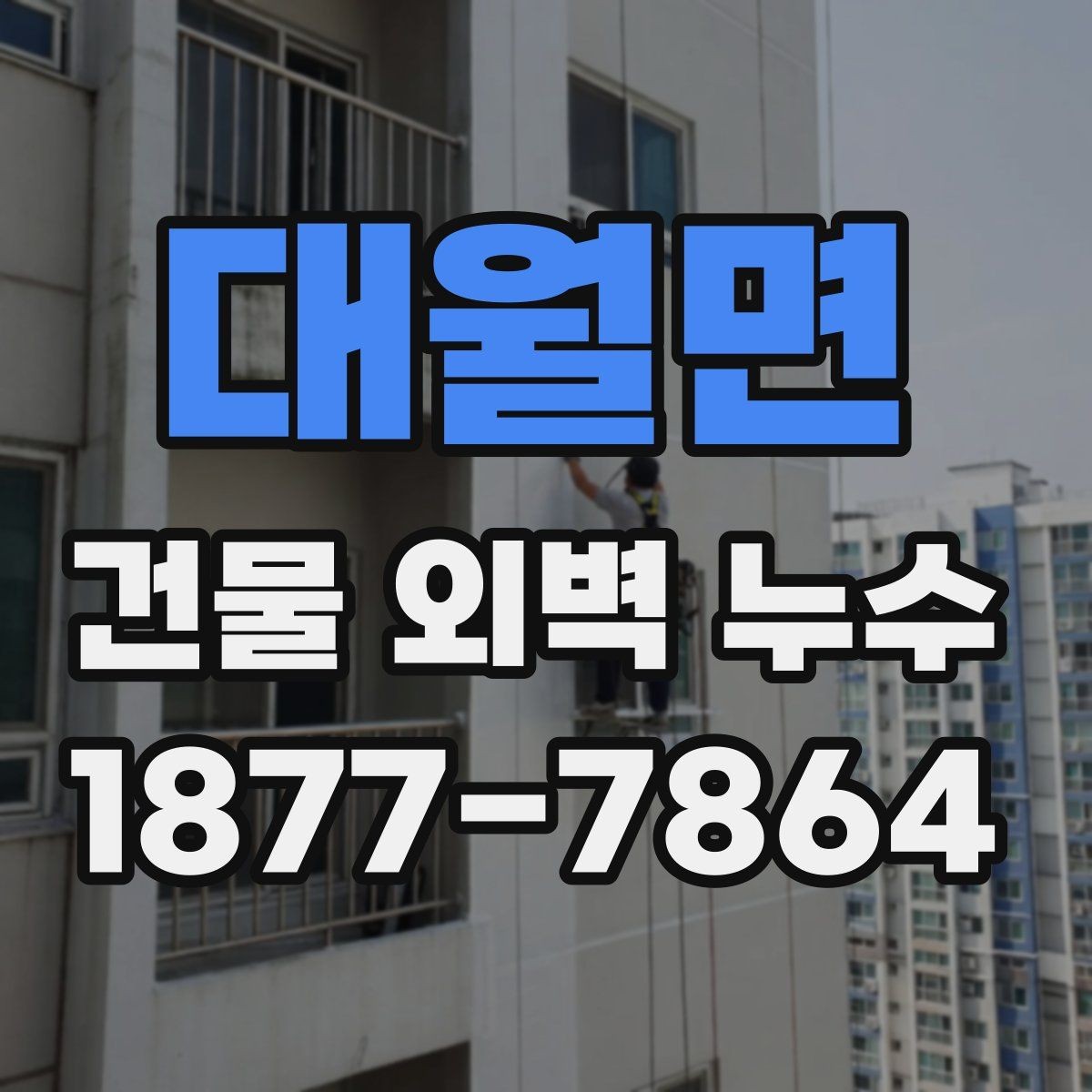 대월면 건물 외벽 누수 증상으로 보는 상태 점검