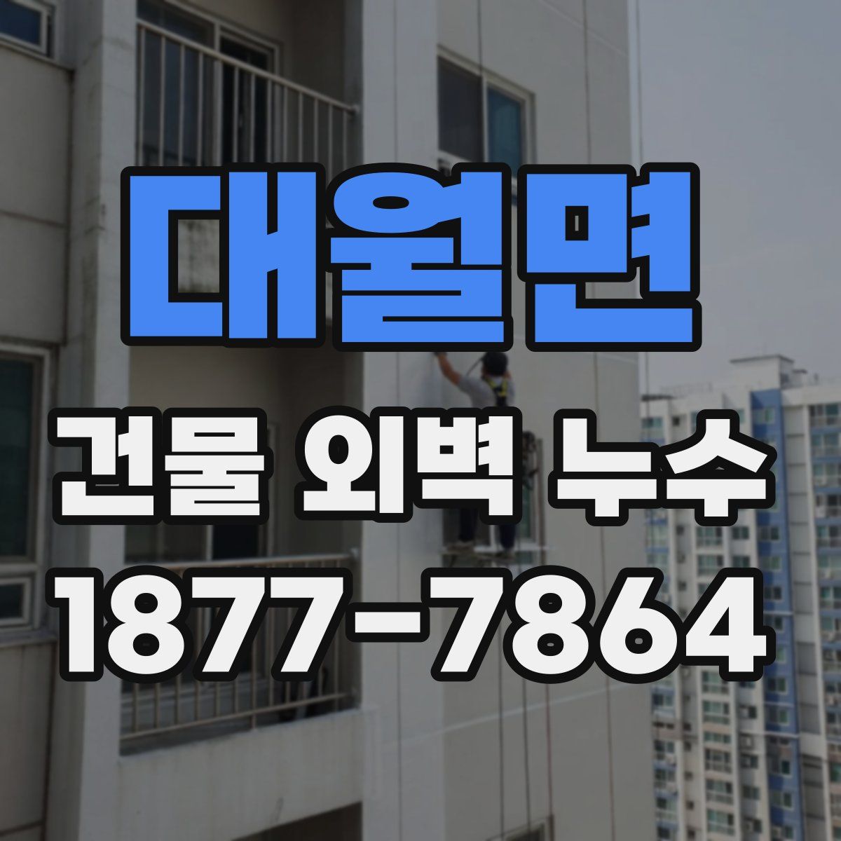 대월면 건물 외벽 누수