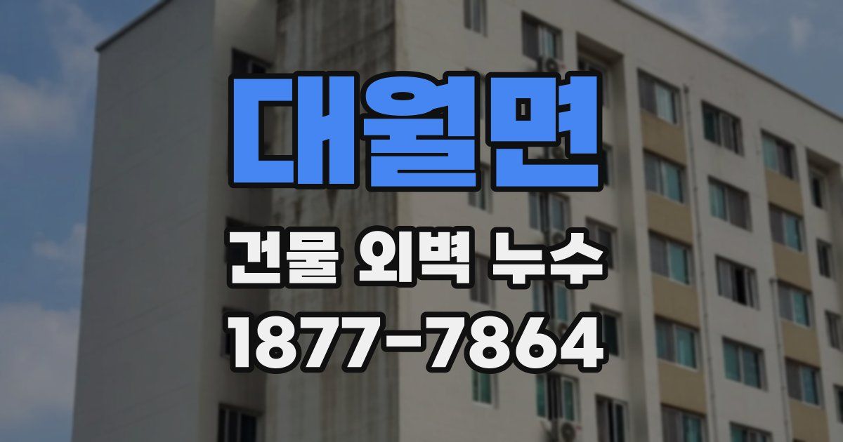대월면 건물 외벽 누수