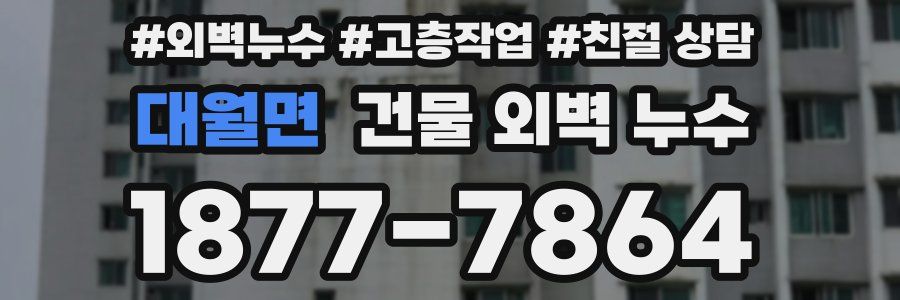 대월면 건물 외벽 누수