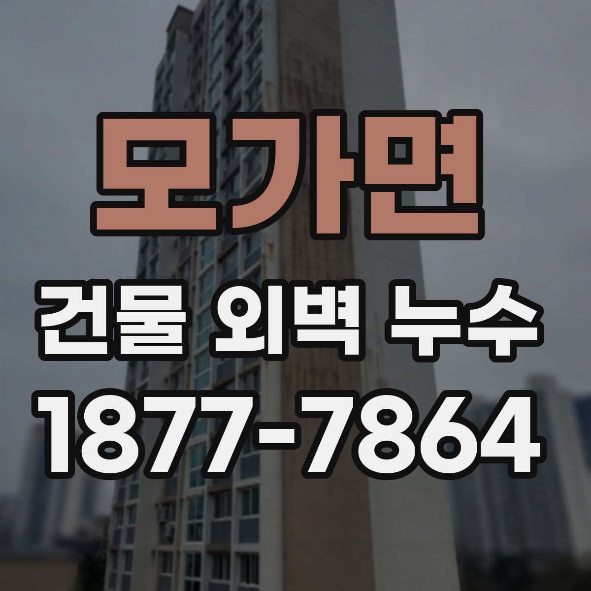 모가면 건물 외벽 누수 점검 결과를 해석하는 방법