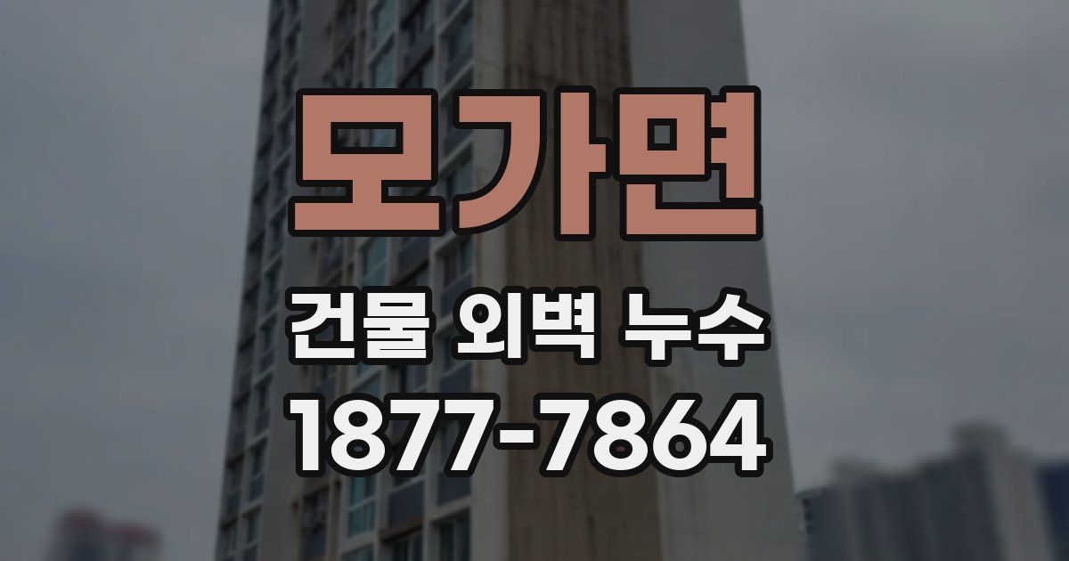 모가면 건물 외벽 누수
