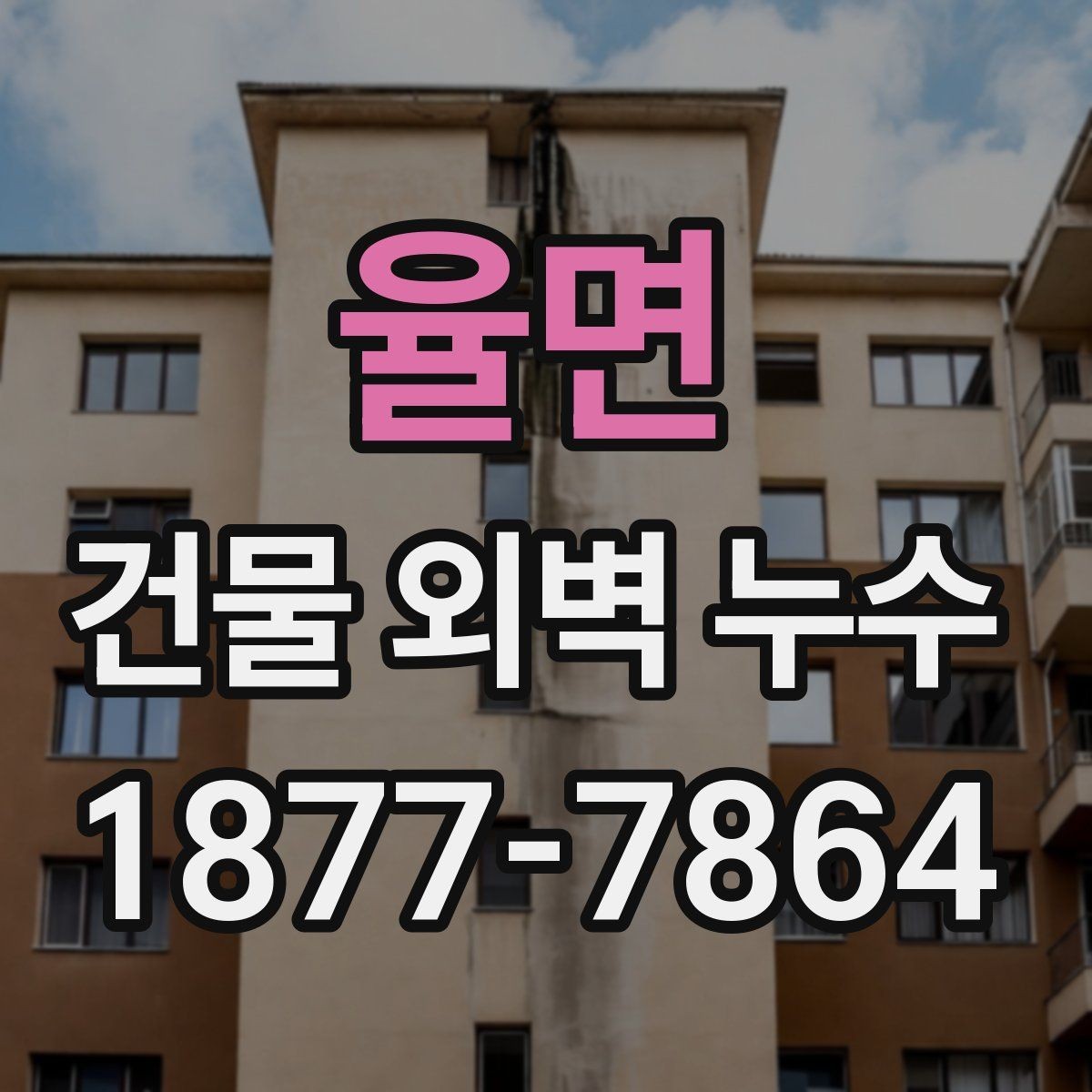 율면 건물 외벽 누수 수리 전 알아야 할 절차