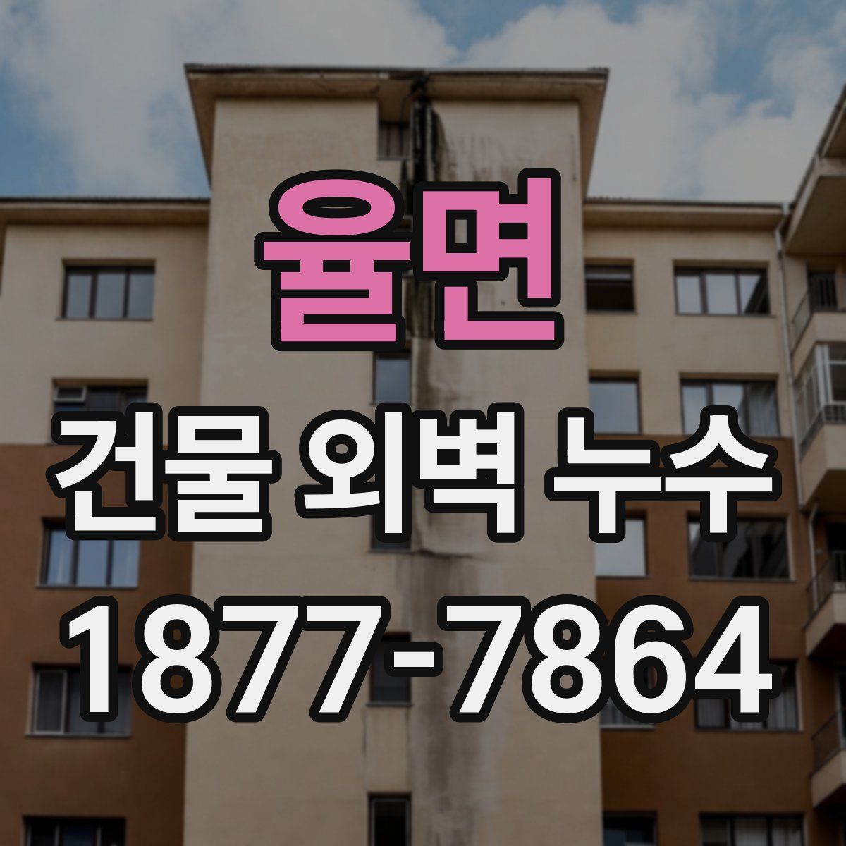 율면 건물 외벽 누수