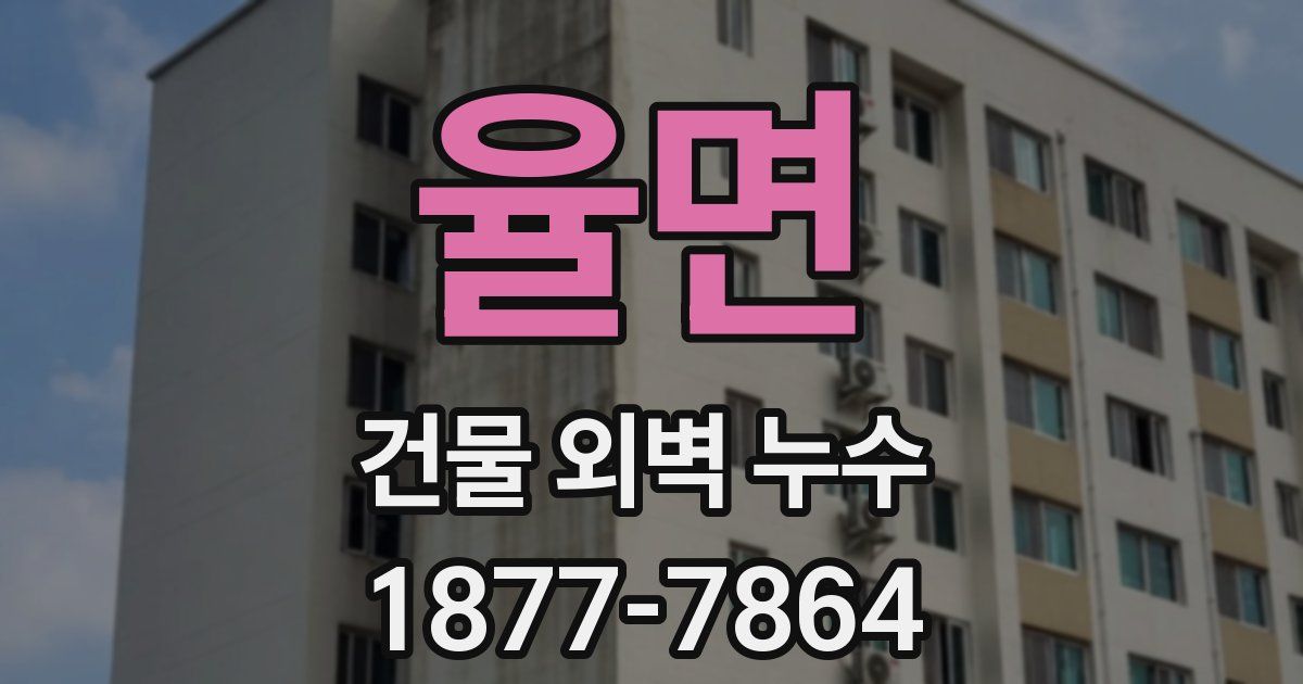 율면 건물 외벽 누수