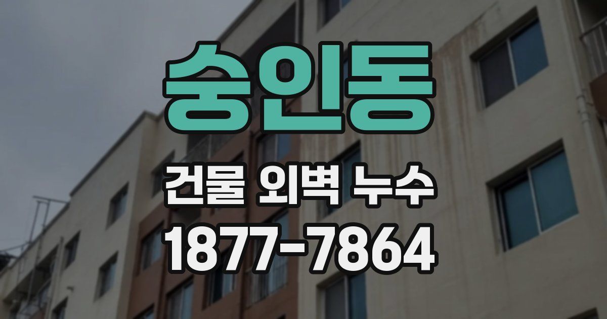 숭인동 건물 외벽 누수