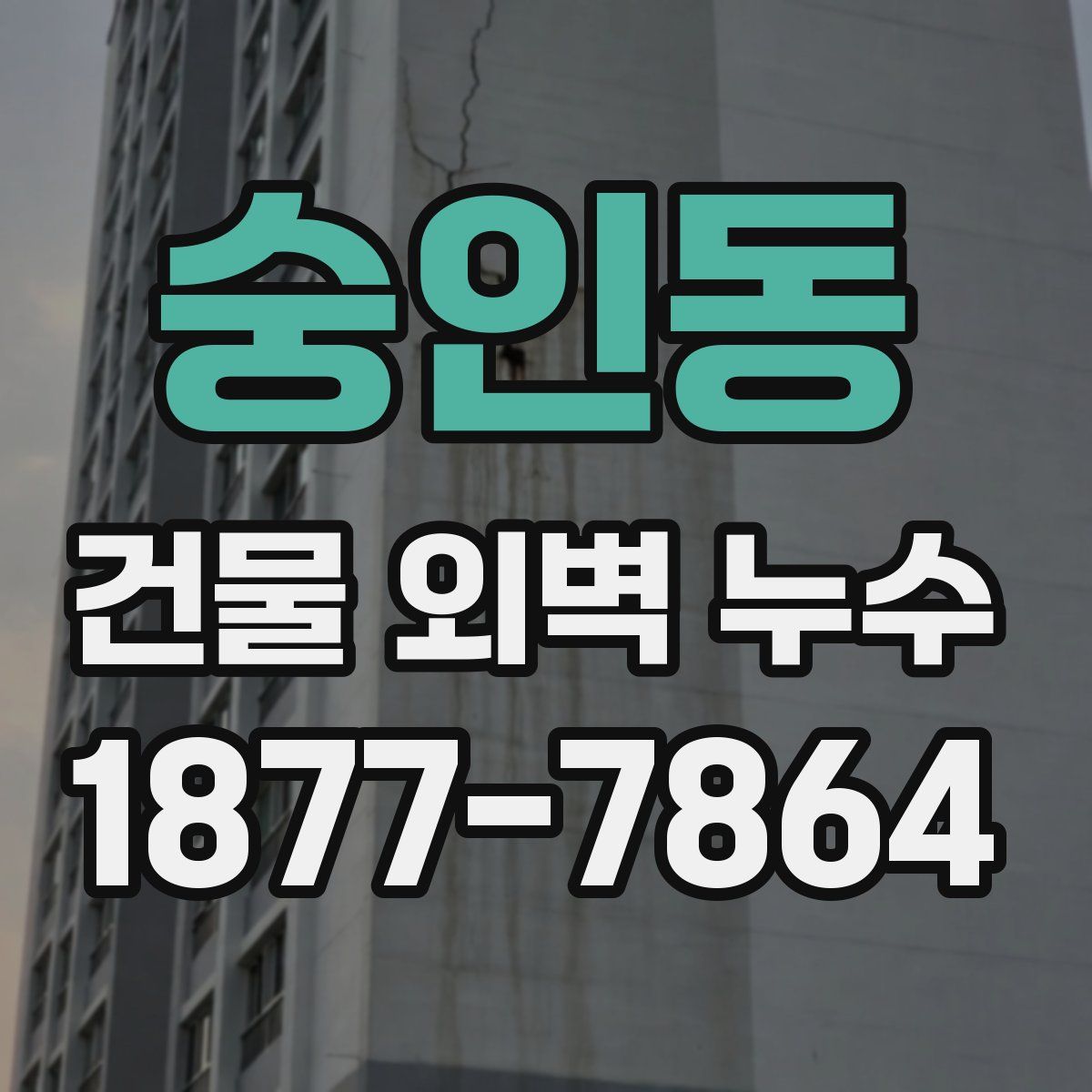 숭인동 건물 외벽 누수