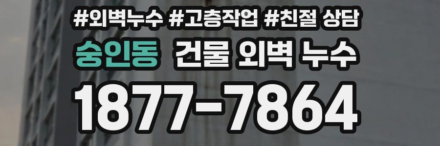 숭인동 건물 외벽 누수
