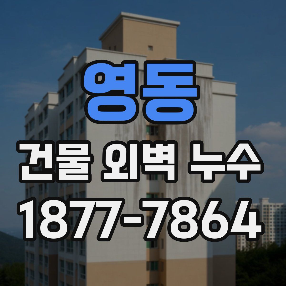 영동 건물 외벽 누수