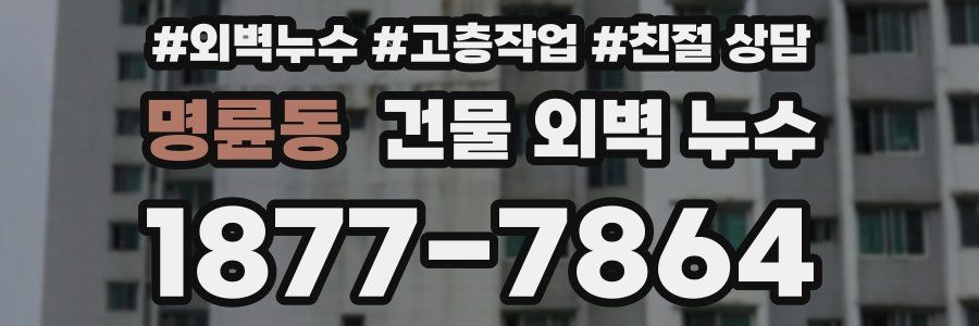 명륜동 건물 외벽 누수
