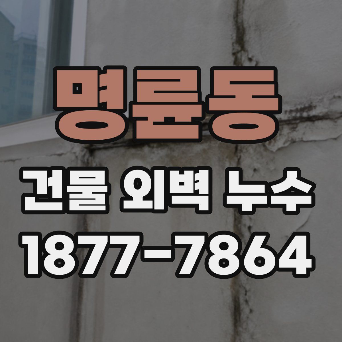 명륜동 건물 외벽 누수