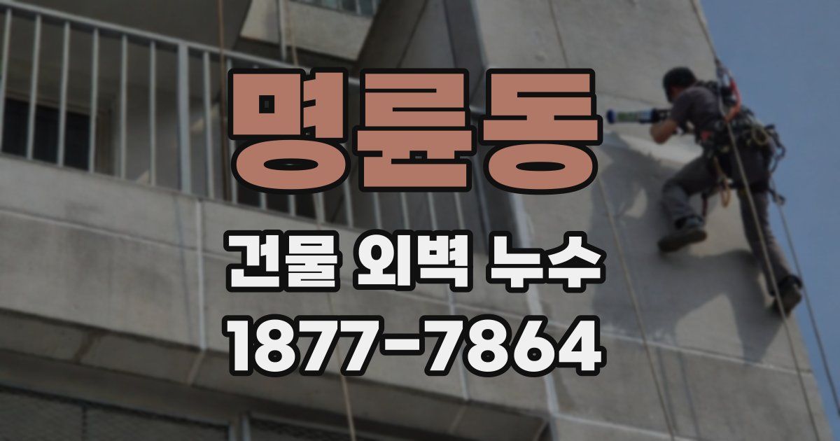 명륜동 건물 외벽 누수