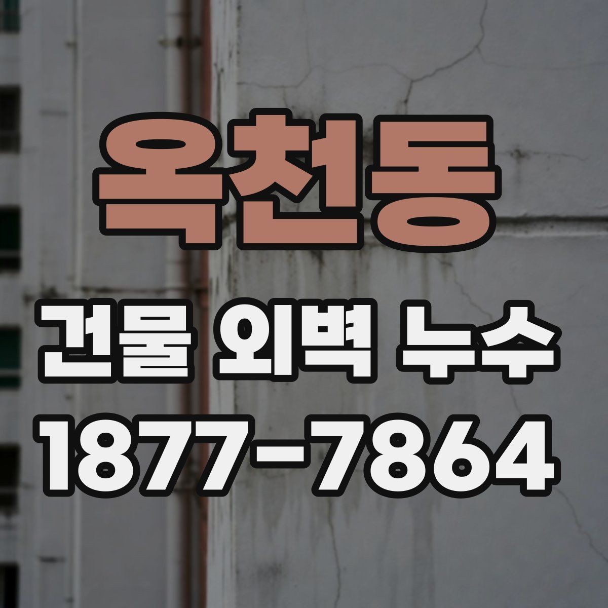 옥천동 건물 외벽 누수 공사에서 확인할 항목