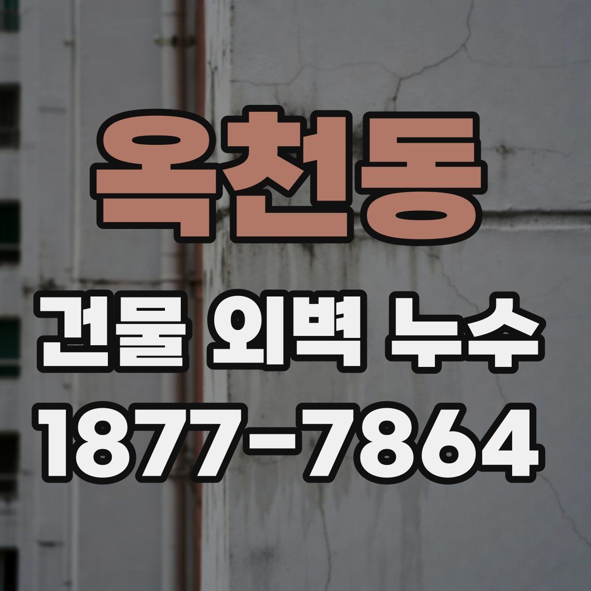 옥천동 건물 외벽 누수