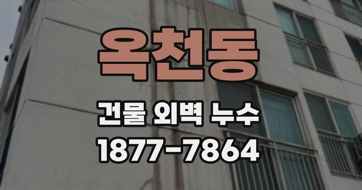 옥천동 건물 외벽 누수