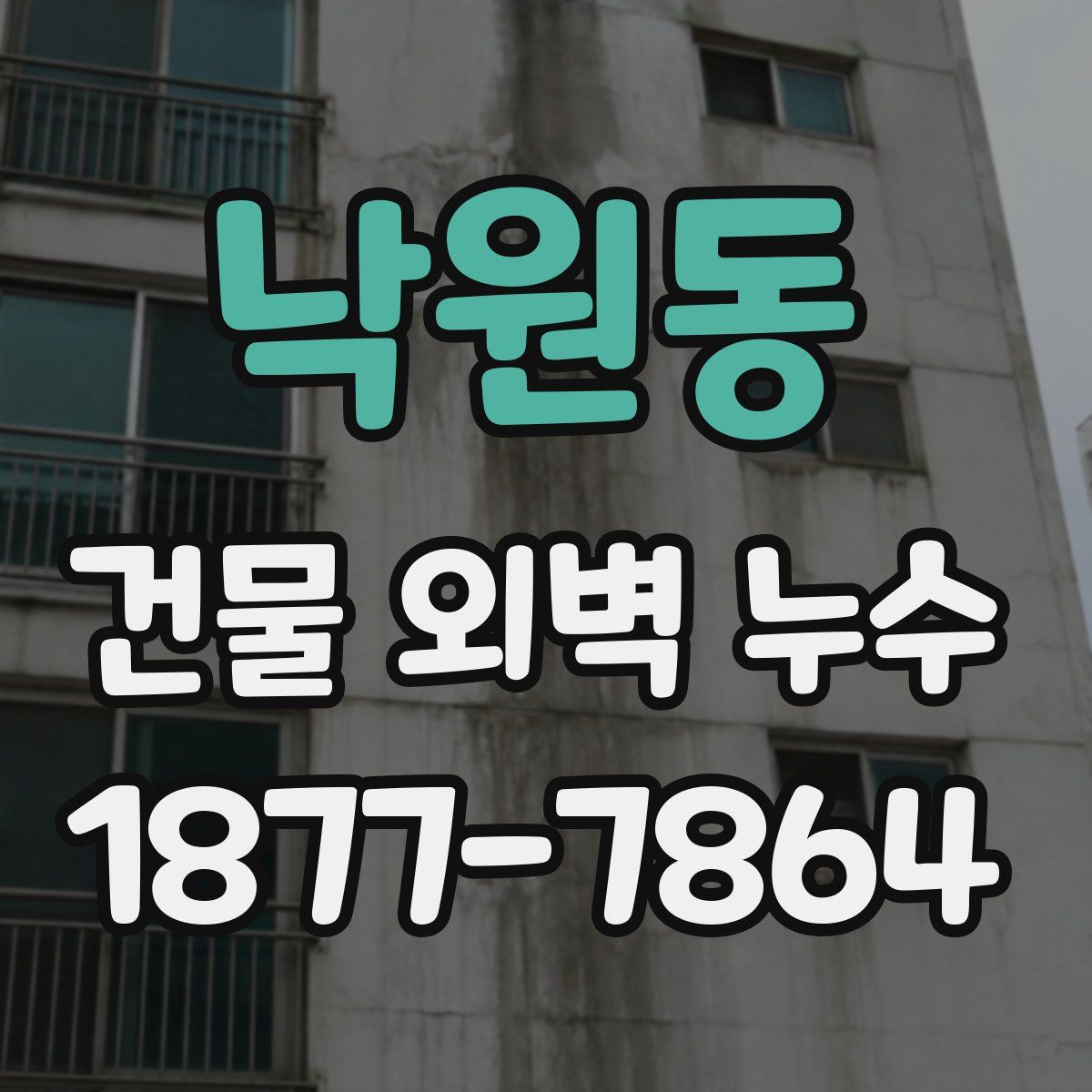 낙원동 건물 외벽 누수
