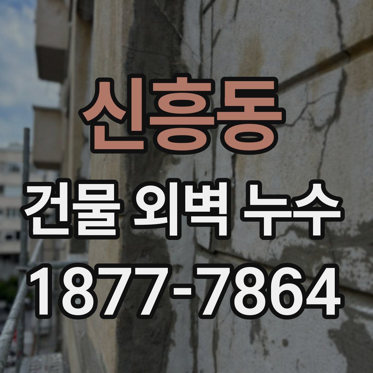 신흥동 건물 외벽 누수