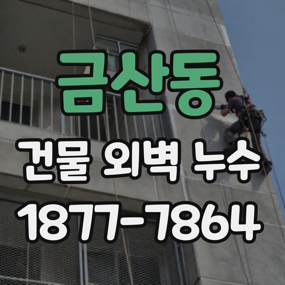 금산동 건물 외벽 누수
