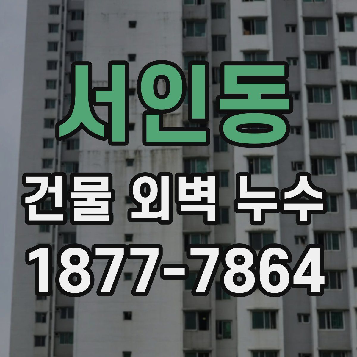 서인동 건물 외벽 누수