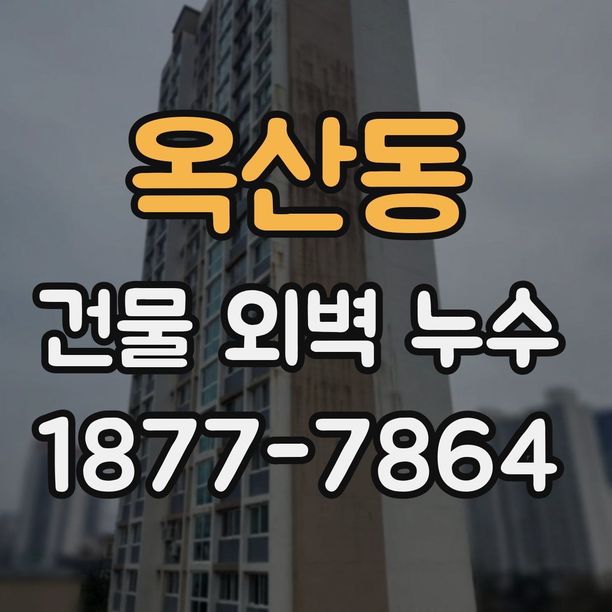 옥산동 건물 외벽 누수