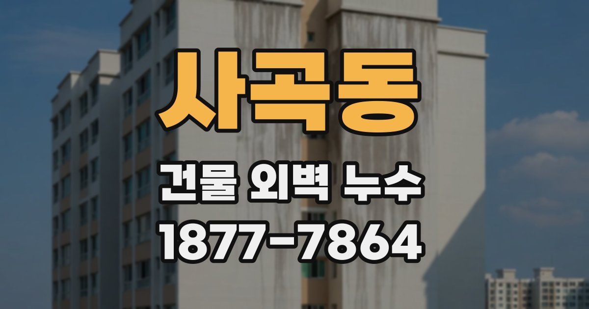 사곡동 건물 외벽 누수