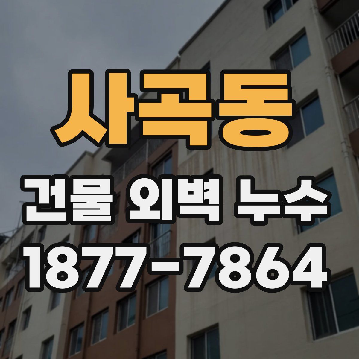 사곡동 건물 외벽 누수