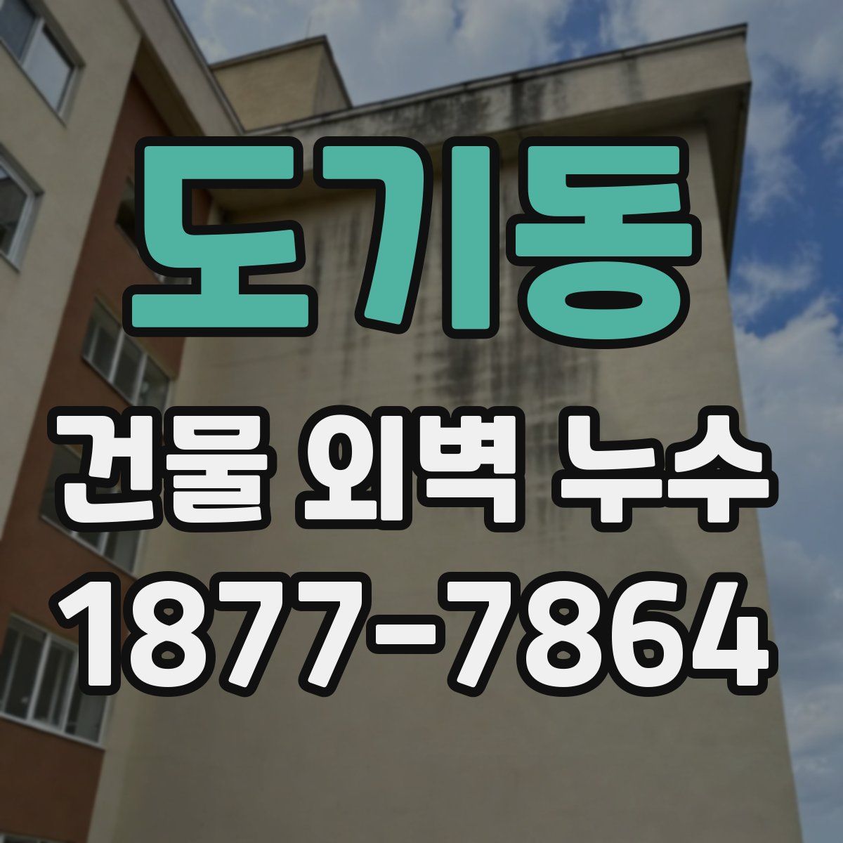 도기동 건물 외벽 누수