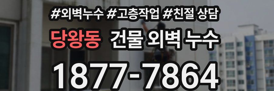 당왕동 건물 외벽 누수
