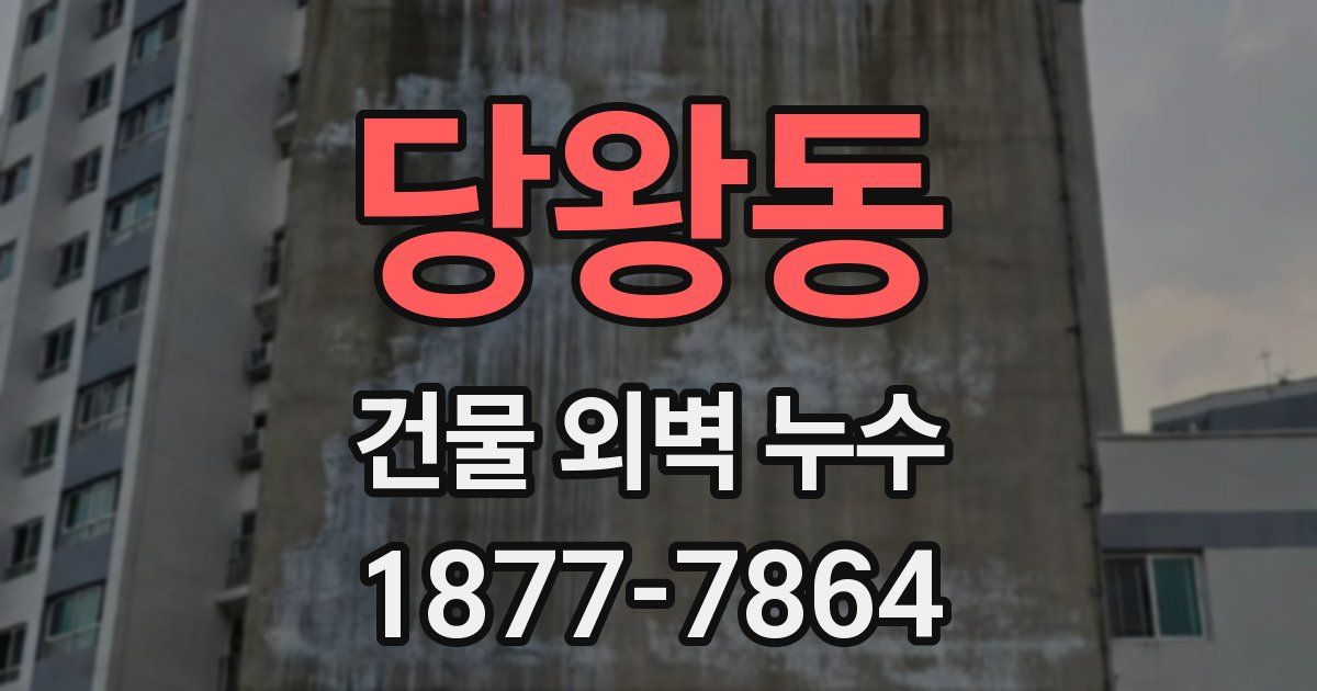 당왕동 건물 외벽 누수