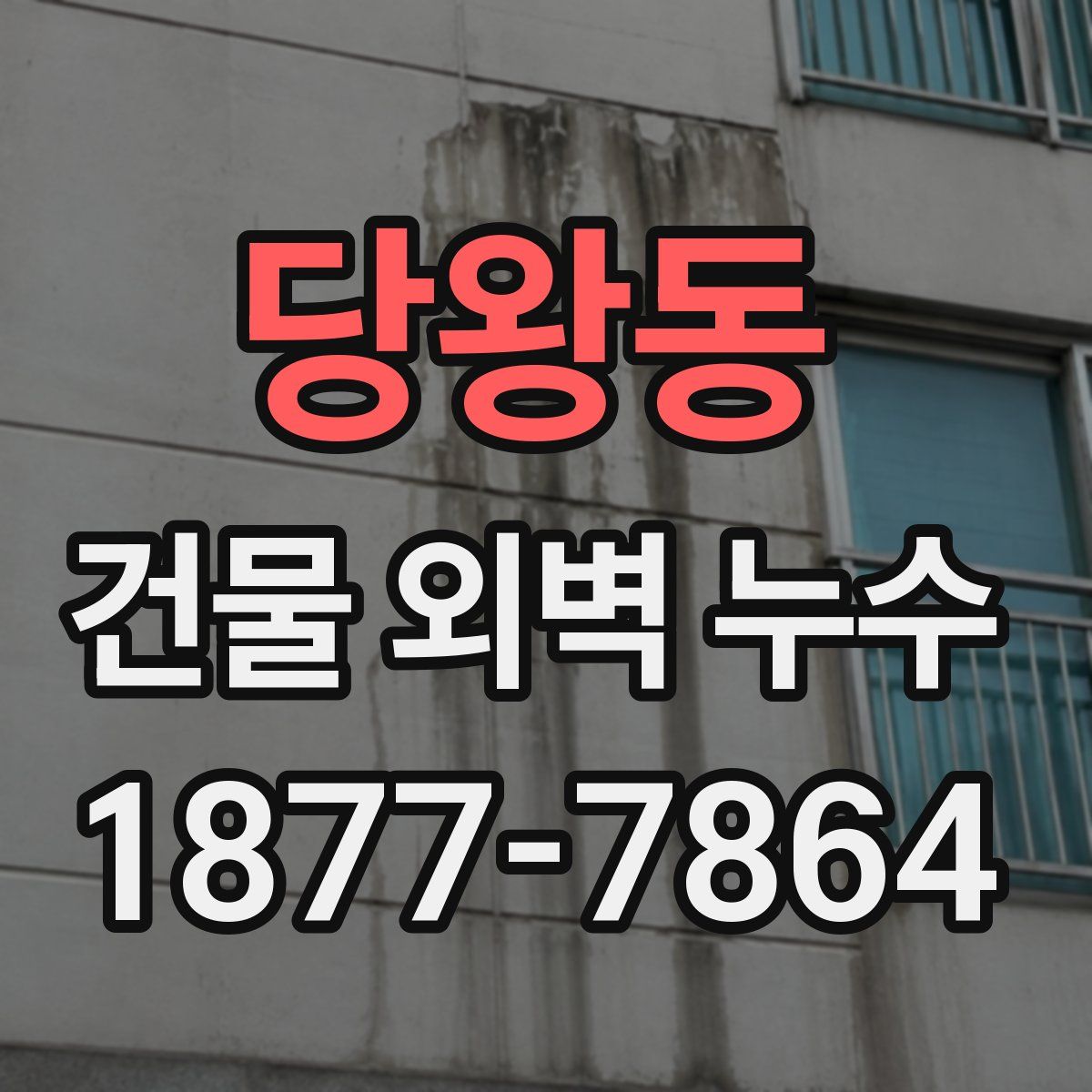 당왕동 건물 외벽 누수