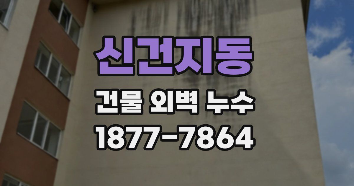 신건지동 건물 외벽 누수