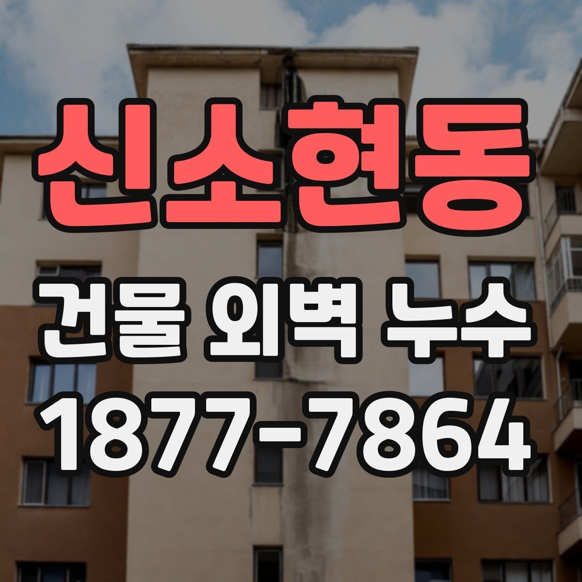 신소현동 건물 외벽 누수 진단 결과에 따라 달라지는 대응