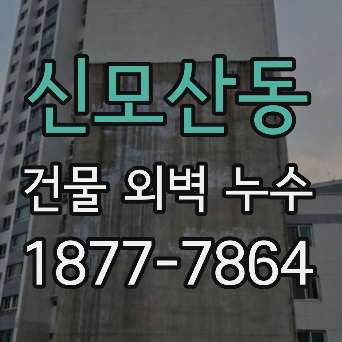 신모산동 건물 외벽 누수 피해를 키우지 않는 대처법