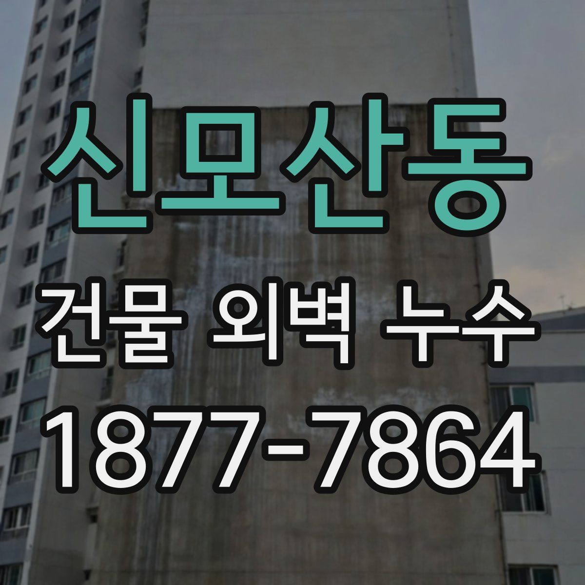 신모산동 건물 외벽 누수