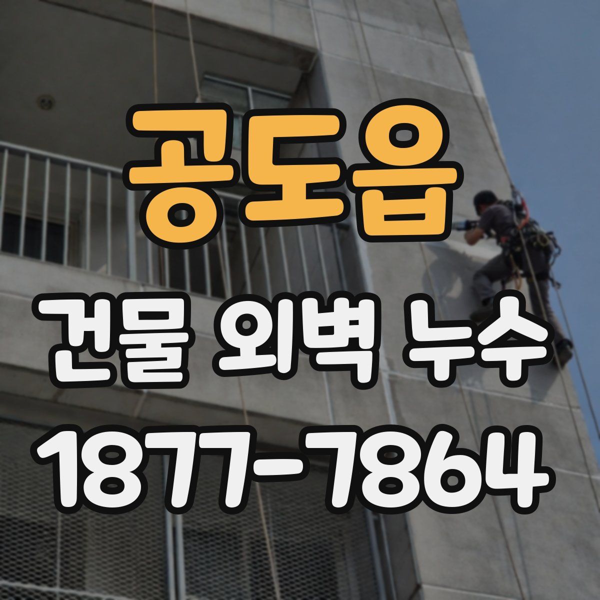 공도읍 건물 외벽 누수