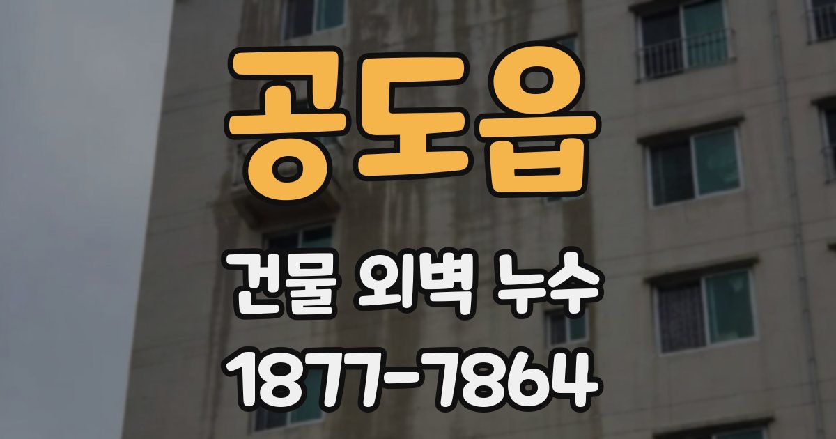 공도읍 건물 외벽 누수