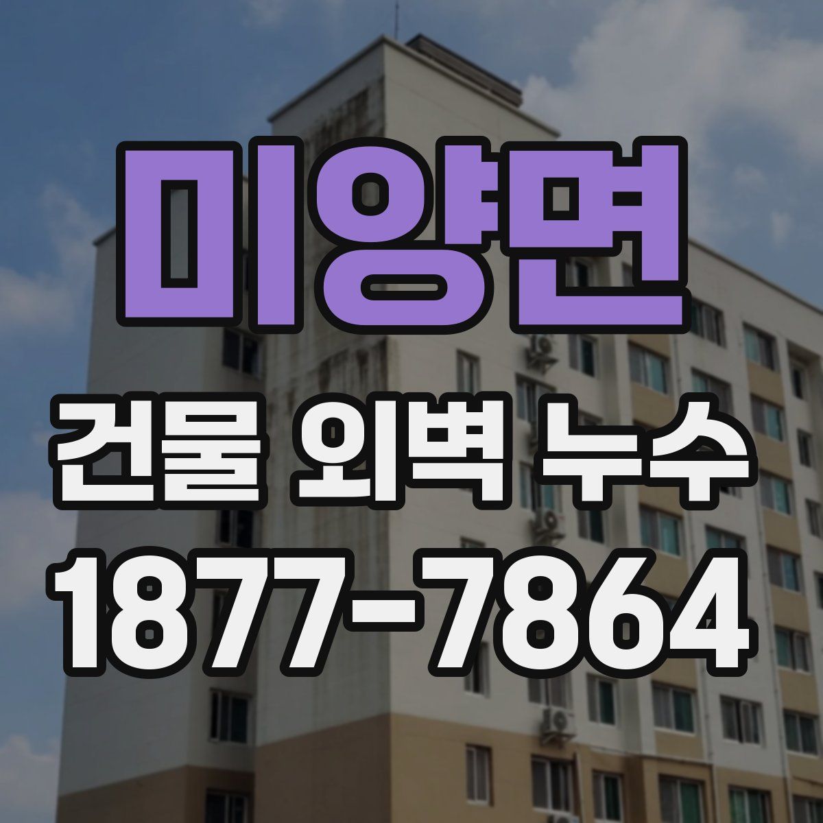 미양면 건물 외벽 누수