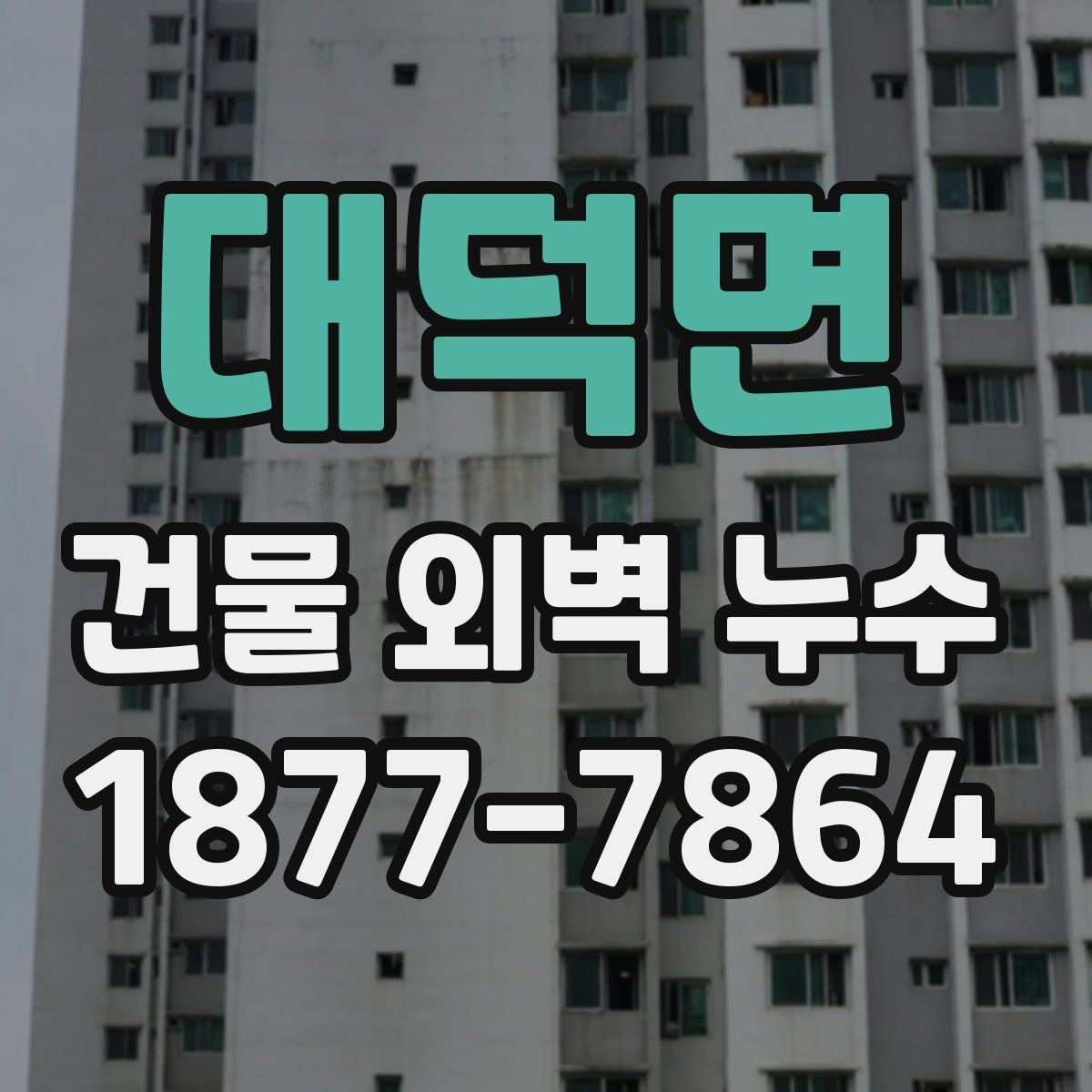 대덕면 건물 외벽 누수