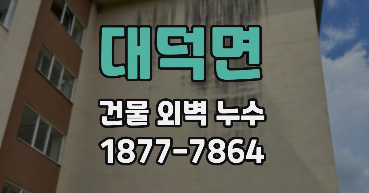 대덕면 건물 외벽 누수